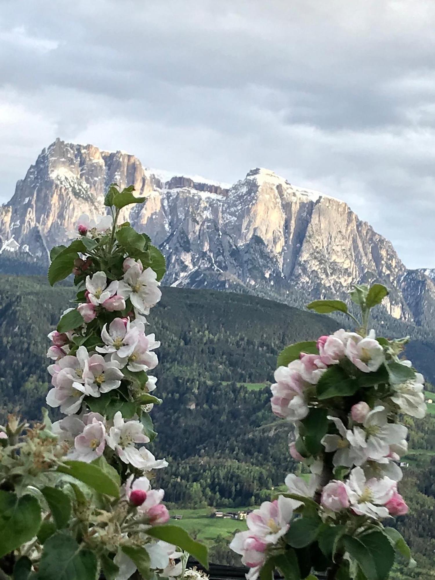 Gasserhof Barbiano  Eksteriør bilde
