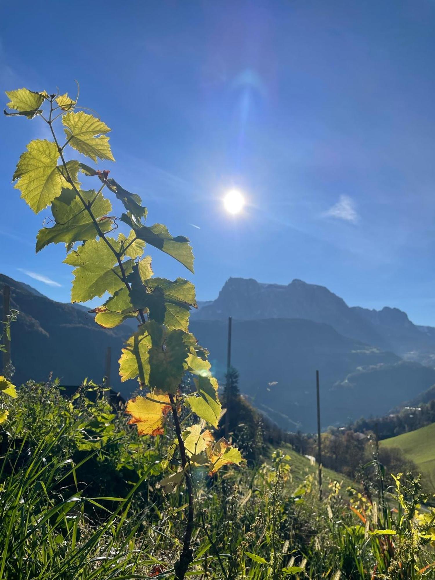 Gasserhof Barbiano  Eksteriør bilde