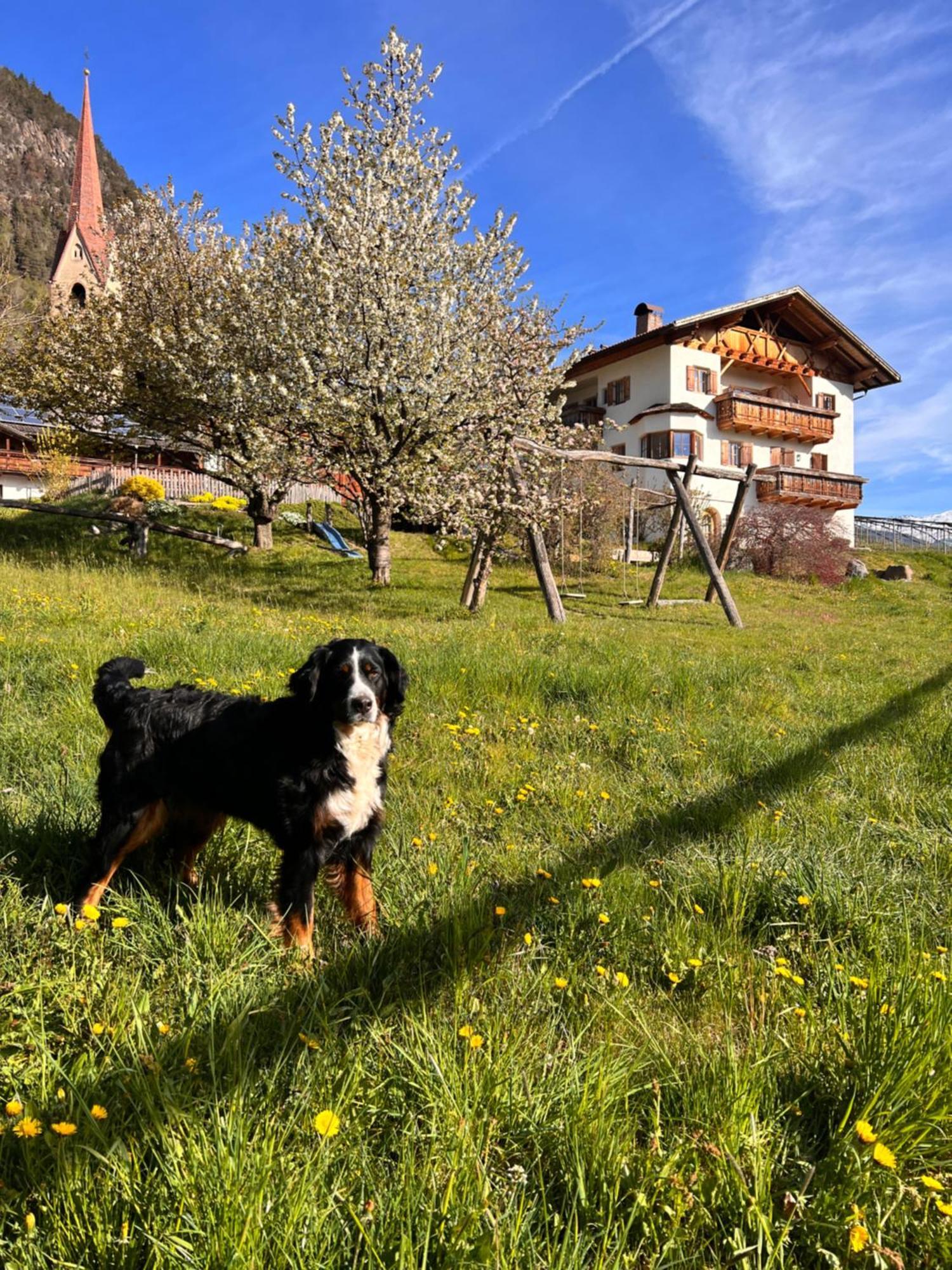 Gasserhof Barbiano  Eksteriør bilde