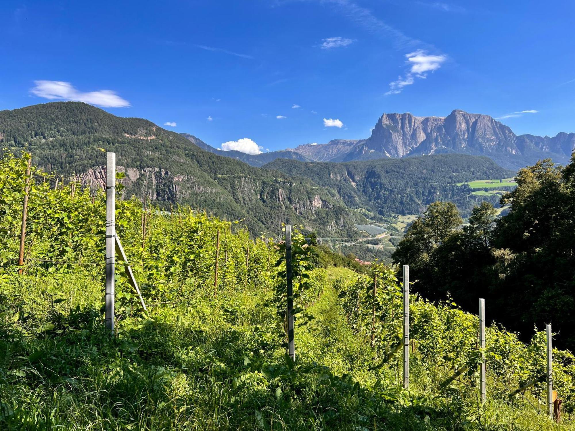 Gasserhof Barbiano  Eksteriør bilde